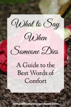 What to Say When Someone Dies: A Guide to the Best Words of Comfort - Sympathy Card Messages