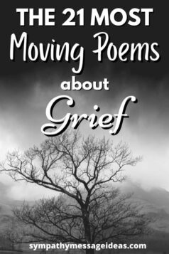 The 21 Most Moving Poems about Grief and Mourning - Sympathy Message Ideas