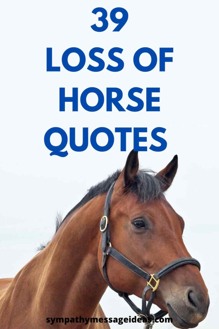 39 Moving Loss of Horse Quotes - Sympathy Message Ideas