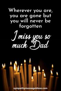 49 Moving I Miss You Dad Quotes and Messages - Sympathy Message Ideas