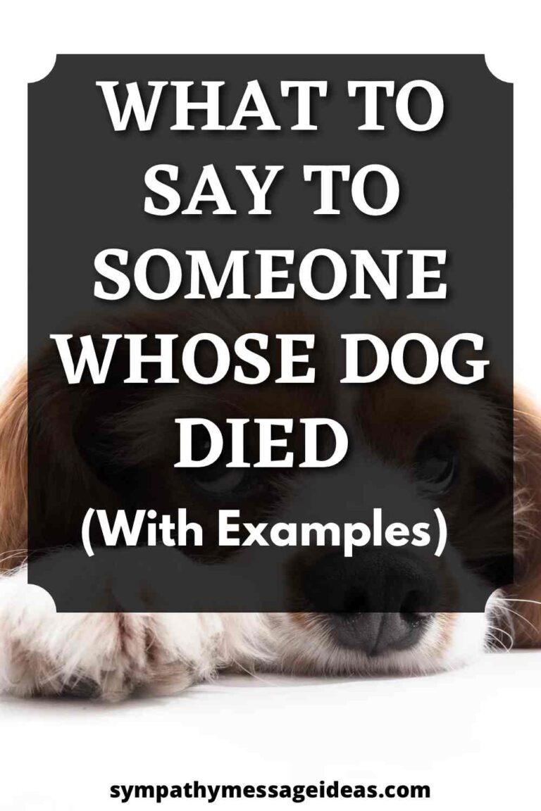 what-to-say-to-someone-whose-dog-died-sympathy-message-ideas