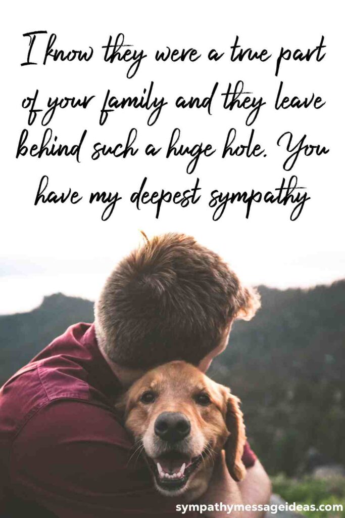 What To Say To Someone Whose Dog Died Sympathy Message Ideas